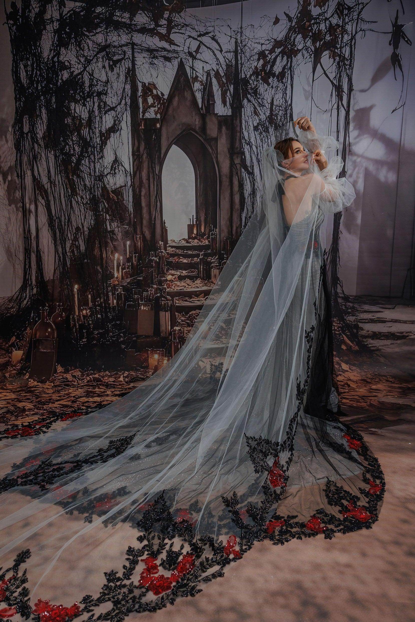 One-tier Lace Edge Tulle Cathedral Veils with Appliques Sequin CV0401 - COCOMELODY